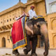 5 Days Golden Triangle Tour
